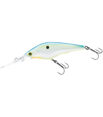 Amazon.co.jp: ダイワ(DAIWA) バス スティーズ シャッド 赤羽